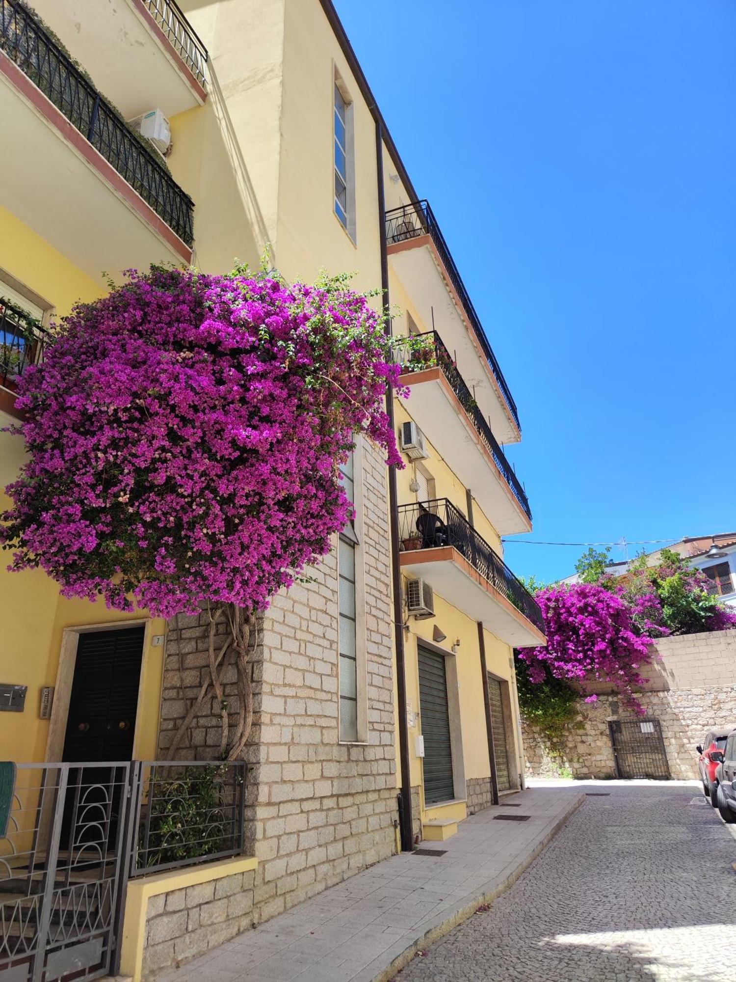 Attico Vespucci Luxury Penthouse Apartment Olbia Exterior photo